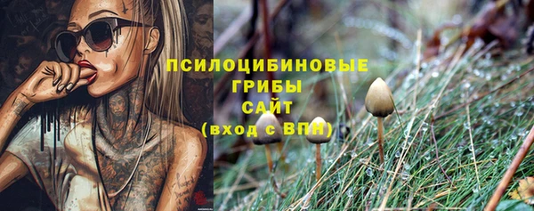 спайс Валдай