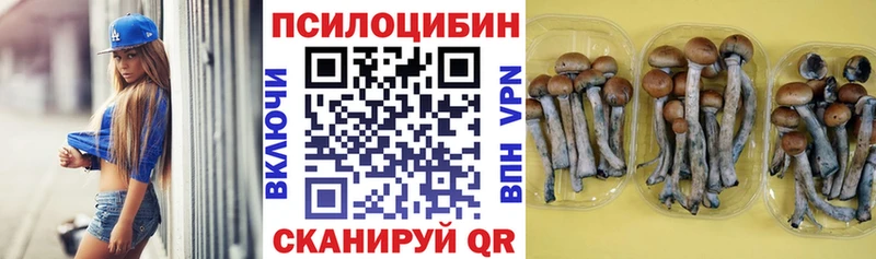 Псилоцибиновые грибы GOLDEN TEACHER  наркошоп  Жиздра 